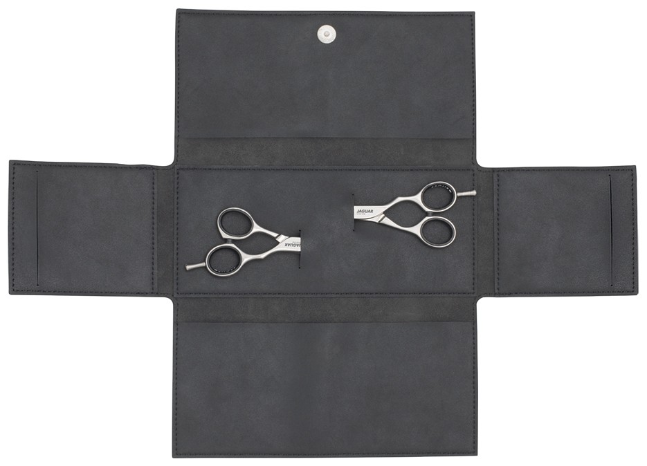 Jaguar Two Scissor Case (Only) - Image 3