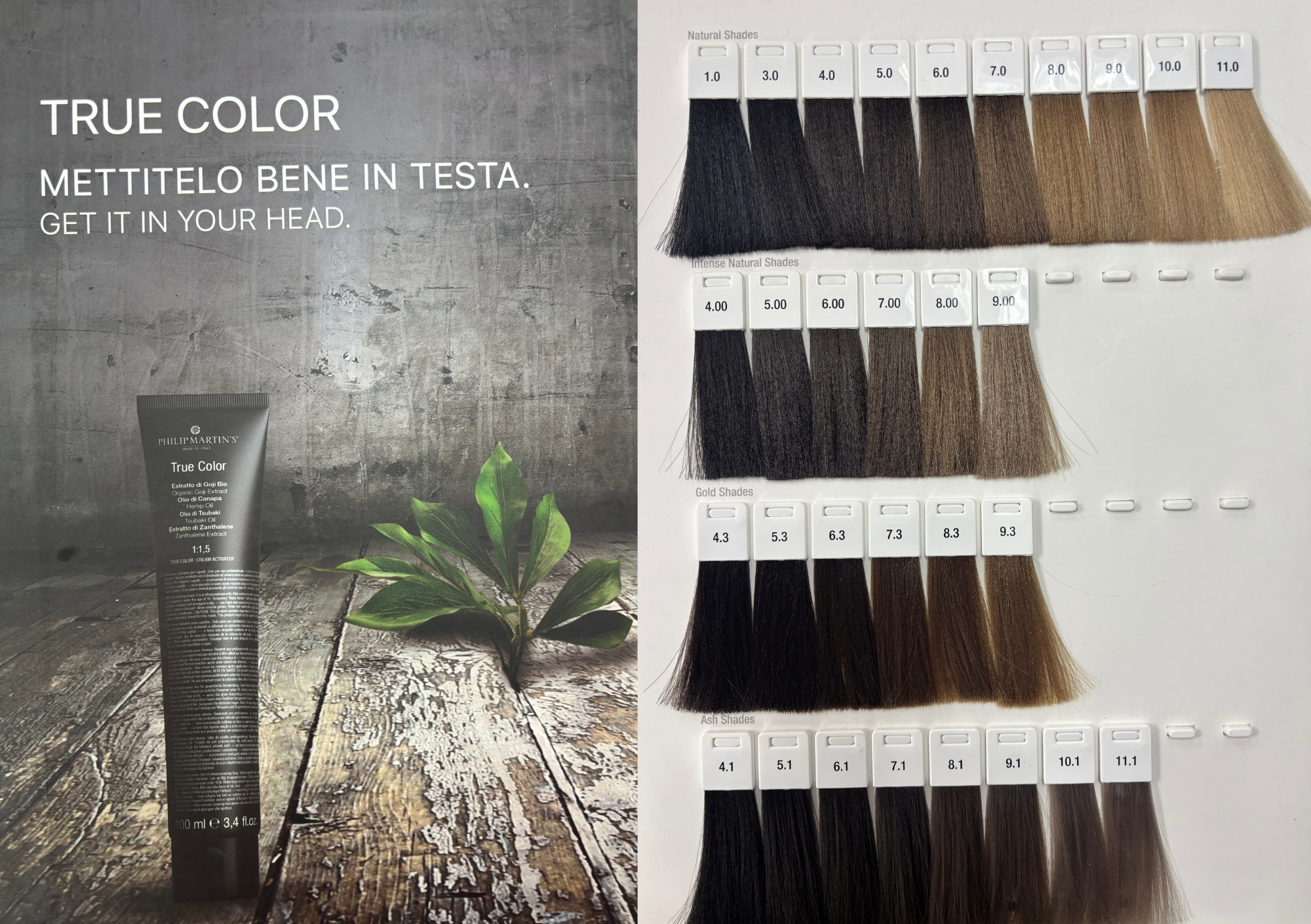 Philip Martins's True Colour Chart - Image 4